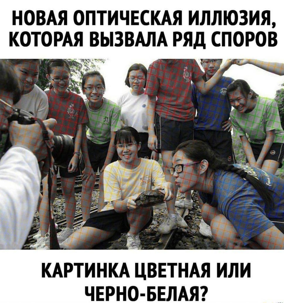 НОВАЯ ОПТИЧЕСКАЯ ИЛЛЮЗИЯ КОТОРАЯ ВЫЗВАЛА РЯД СПОРОВ ь__ ч 1 к КАРТИНКА ЦВЕТНАЯ ИЛИ ЧЕРНО БЕЛАЯ