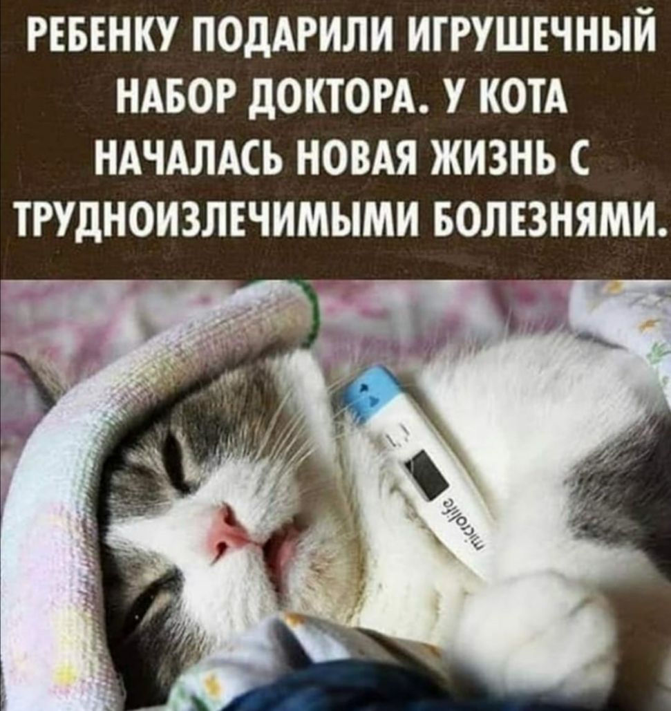 РЕБЕНКУ ПОдАРИЛИ ИГРУШЕЧНЫЙ НАБОР дОКТОРА У КОТА НАЧАЛАСЬ НОВАЯ ЖИЗНЬ С ТРУДНОИЗЛЕЧИМЫМИ БОЛЕЗНЯМИ