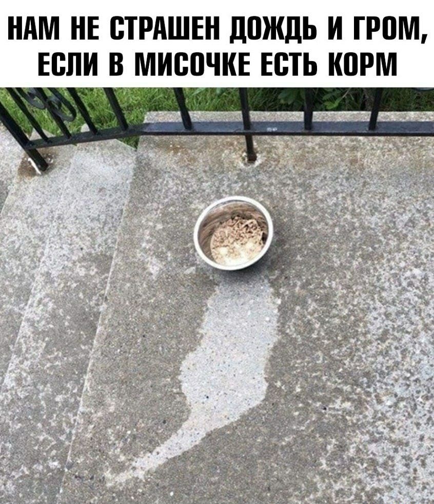 НАМ НЕ ВТРАШЕН ДПЖДЬ И ГРПМ ЕСЛИ В МИСПЧКЕ ЕСТЬ КПРМ