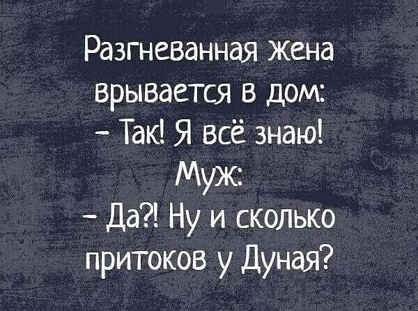 Разгневанная Жена врывается в дом Так Я всё знаю Муж Да Ну и сколько притоков у Дуная