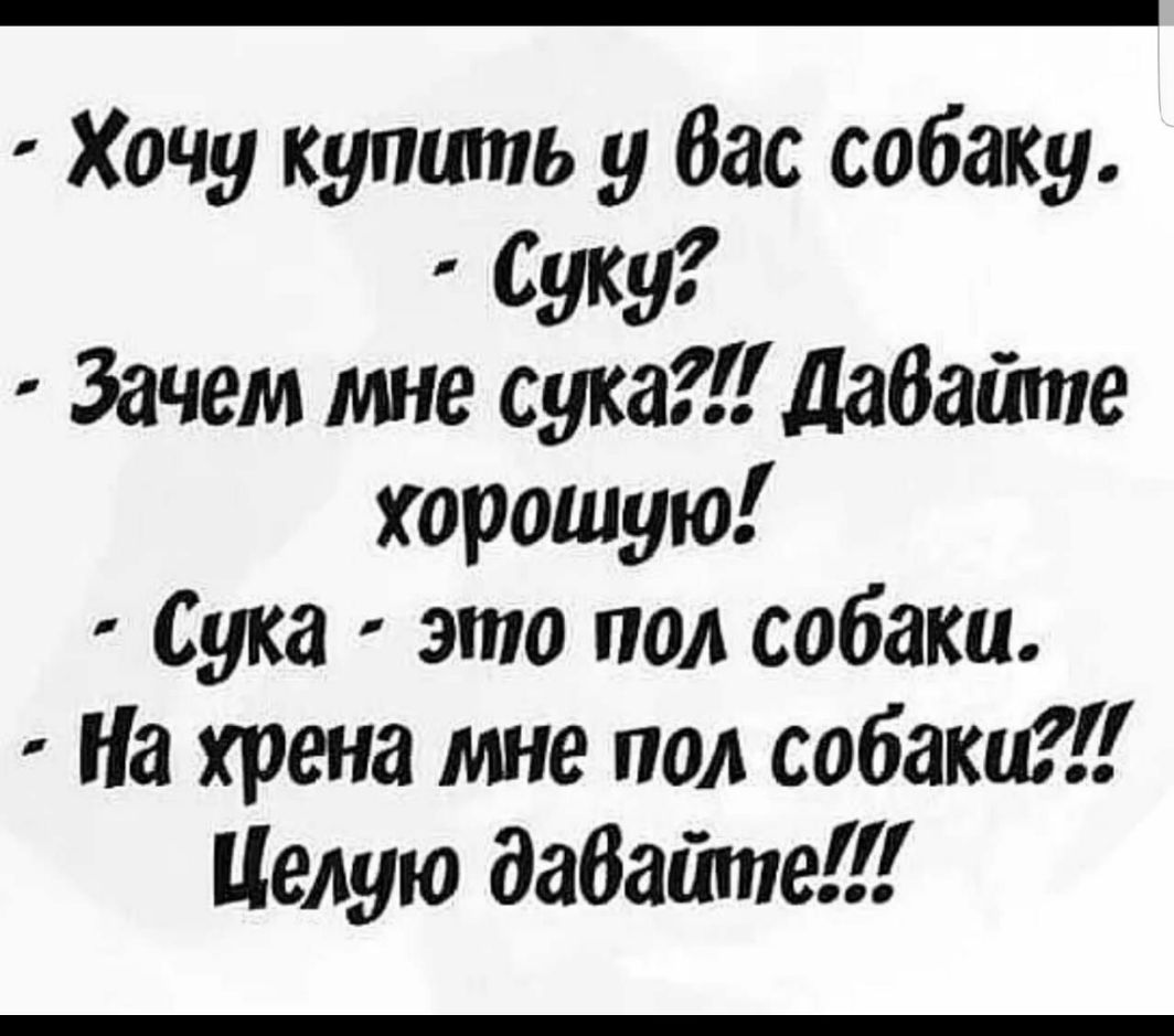 Хочу купить у Вас собаку буку Зачем мне сука дабайте хорошую Сука это под собаки На хрена мне под собаки Целую давайте