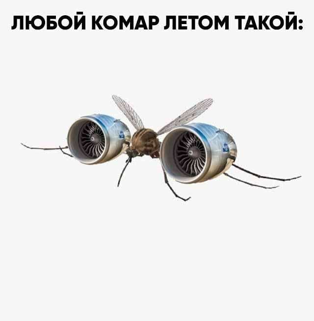 лювой комдр лвтом тдкой