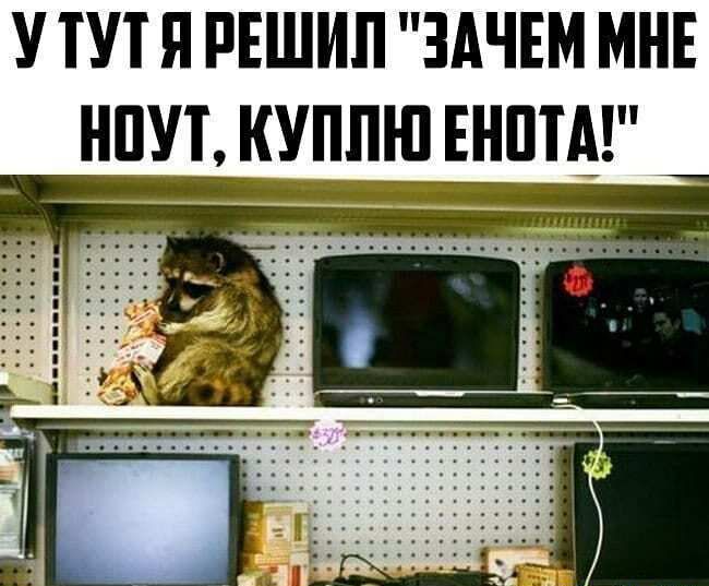 У ТУТ Я РЕШИП ЗАЧЕМ МНЕ НПУТ КУПЛЮ ЕНПТА