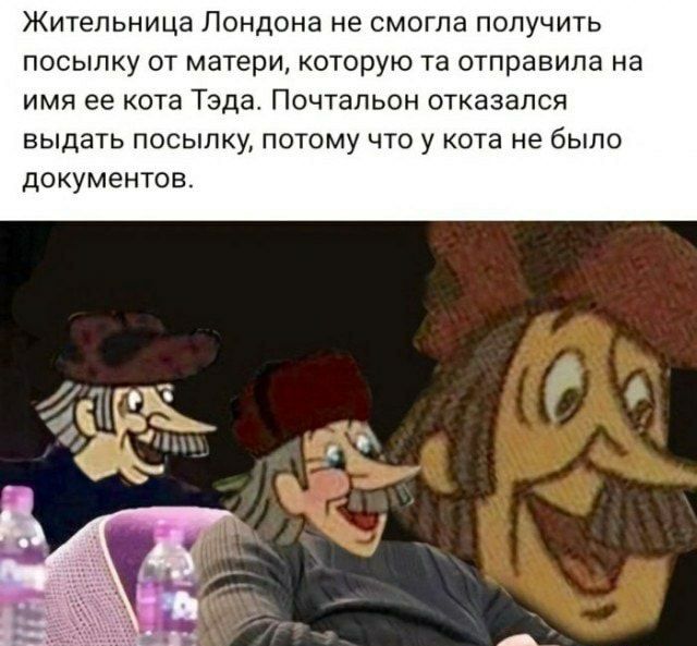 Жительница Лондона не смогла попучить посылку от матери которую та отправила на имя ее кота Тэда Почтальон отказался ВЫДЭТЬ ПОСЫЛКУ ПОТОМУ ЧТО у кота не было ДОКУМЕНТОВ