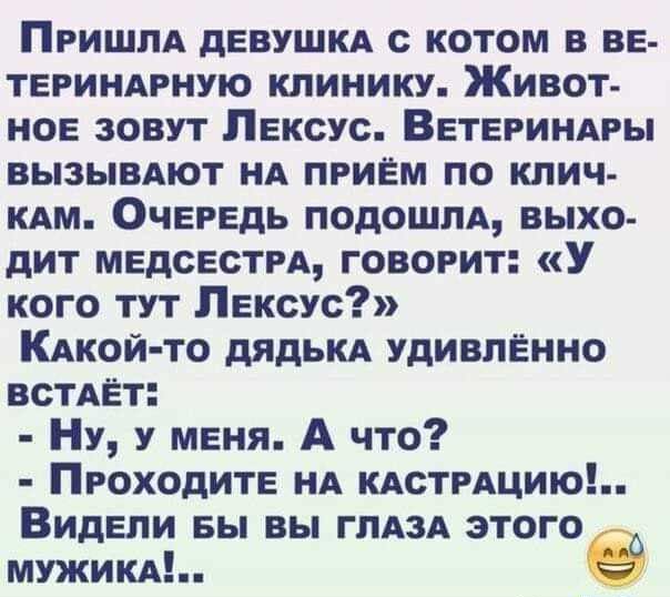 Пгишпд девушкд с котом в вв твриндрную клинику Живот ное зовут Лексус ВЕТЕРИНАРЫ вызывдют НА пгиЁм по клич кдм Очередь подошлд выхо дит мвдсвстм говорит У кого тут Лексус КАкой то дядьклх удивлённо встАЁт Ну у меня А что ПРОХОДИТЕ НА КАСТРАЦИЮ Видели вы вы ГЛАЗА этого мужикд