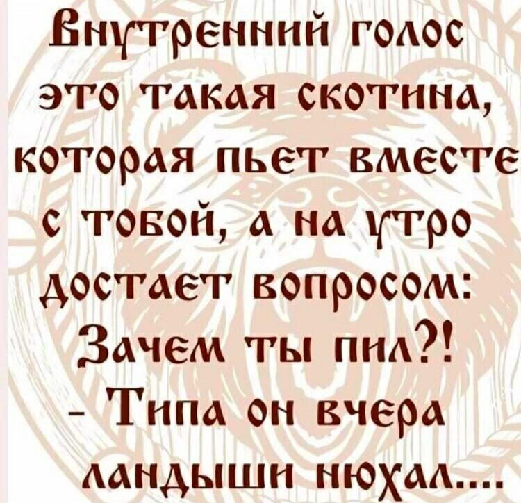 Внутренний гоАос это такая скотина которая пьет вместе с товой а на утро достает вопросом Зачем ты пид Типа он вчера мндышн нюхм