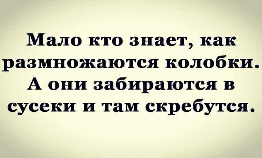 Мало кто знает как размножаются колобки А они забираются в сусеки и там скребутся