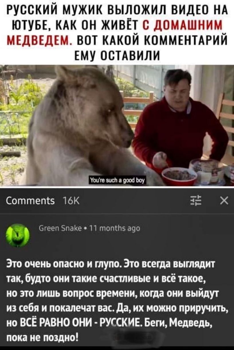 русский мужик выложил видсо НА ютувс КАК он живёт с домлшним мсдведем вот клкой коммснтлрий ЕМУ осмвили Соттепсз 16К Згееп Эпаие П птопгітз 390 Это очень опасно и глупо Это всегда выглядит так будто они такие счастливые и всё такое но это лишь вопрос времени когда они выйдут из себя и покалечат вас да их можно приручить но ВСЁ РАВНО ОНИ РУССКИЕ Беги Медведь пока не поздно