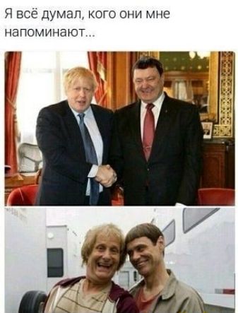 Я ВСС Думал КОГО они мне напоминают