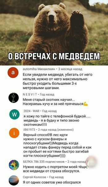 О __ВСТРЕЧАХ МЕДВЕДЕМі и 3 а увидели медведяу6егзть и его л и маисимальио мтв уходить большими Зак матовыми шагами жг м старый мотик научил Наипишь и прячцшьш тт г_ хажу тпвфоиицй Бушкой медведь и в будку и по о ехавший я д Еепиый способ в пес ид КУжие чеком Фаиевы и москогуёцямищмедвщь когда напалм втавьФзиеПУ перед сабой и пробник кппями выпив шгибпй копи плоскогубцами вьии н ходим попюеюм моей 