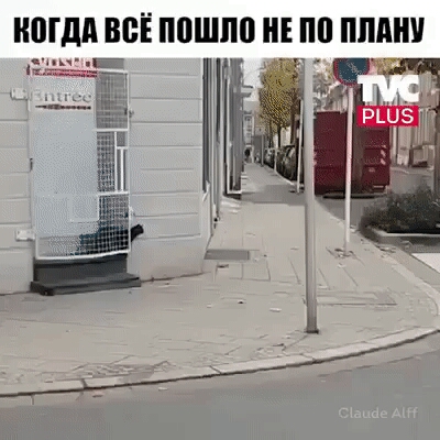 ШШ ПП ППМШ щ