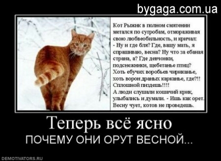 Ьудачасотиа Теперь все ясно ПОЧЕМУ ОНИ ОРУТ ВЕСНОЙ