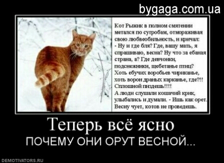 Ьудачасотиа Теперь все ясно ПОЧЕМУ ОНИ ОРУТ ВЕСНОЙ
