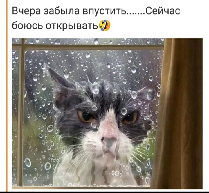 Вчера забыла впустить Сейчас боюсь открывать