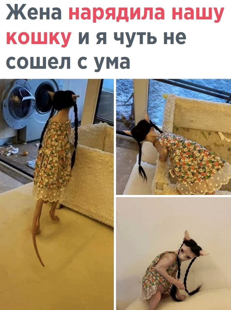 Жена и я чуть не сошел с ума