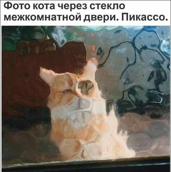 Фото кота через стекло межкомнатной двери Пикассо