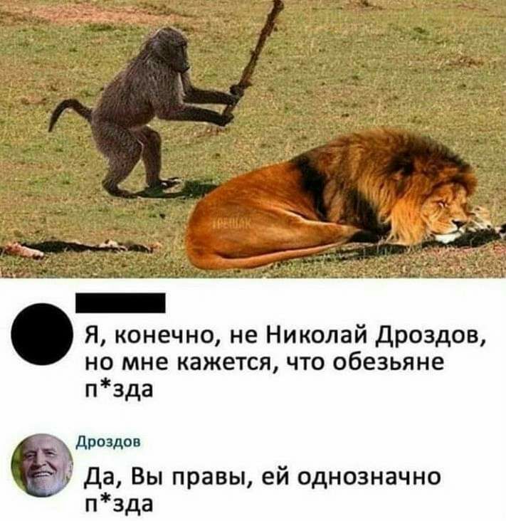 Я конечно не Николай дроздов но мне кажется что обезьяне пзда дроздов да Вы правы ей однозначно пзда