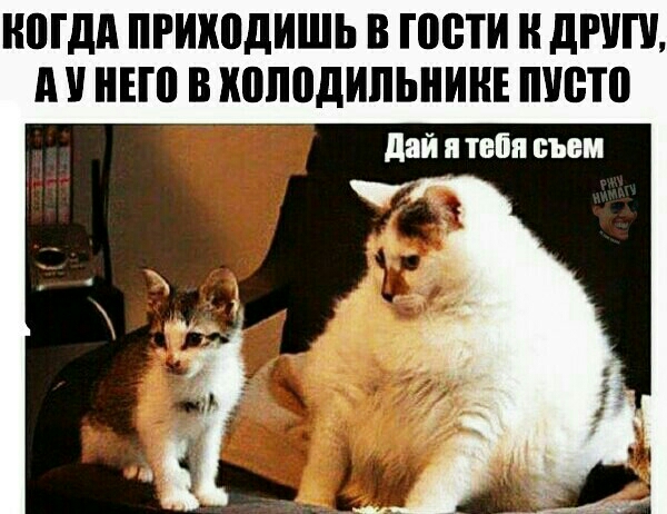 МДА приходишь В гости Н дРУП А ЕП В КШШДИПЬНИНЕ 8111 дай и тебя съем