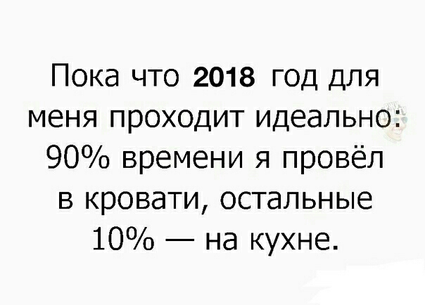Пока что 2018 год для меня проходит идеально 90 времени я провёл в кровати остальные 10 на кухне