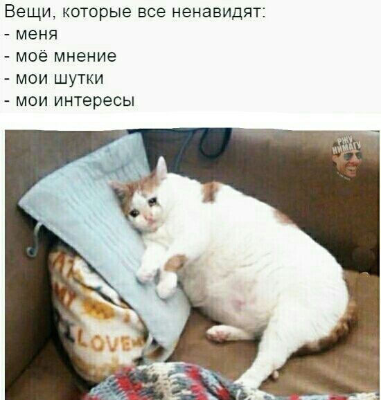 Вещи КОТОРЫЕ все НеНЗВИДЯТЕ меня моё мнение МОИ ШУТКИ МОИ интересы