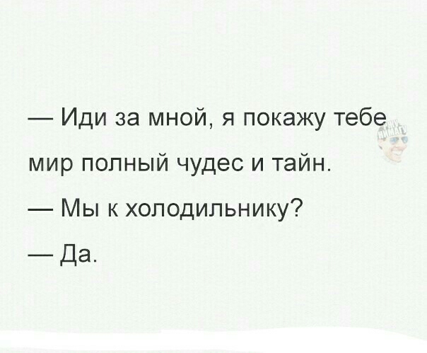 Иди за мной я покажу тебе мир полный чудес и тайн Мы к холодильнику Да