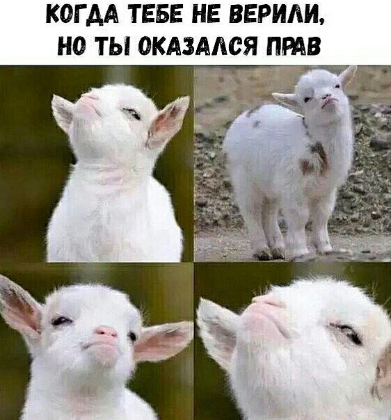КОГ АА ТЕБЕ НЕ ВЕРИЛИ НО ТЫ ОКАЗАЛСЯ ПРАВ