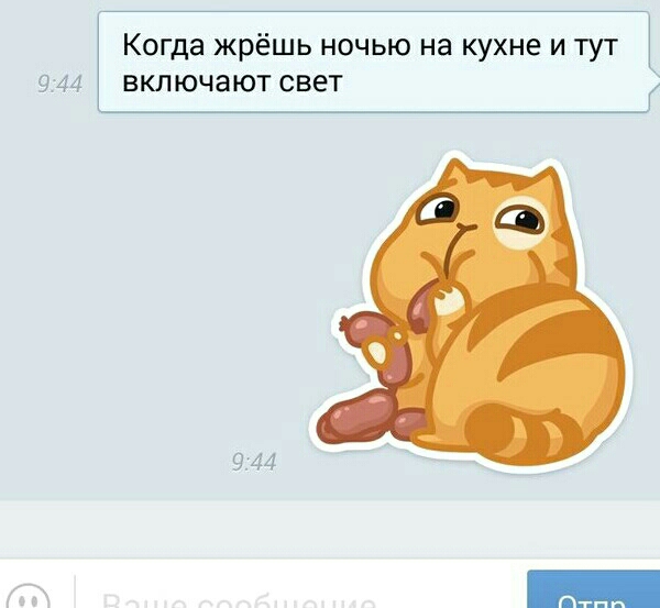 Когда жрёшь ночью на кухне и тут 3 44 включают свет 9 114