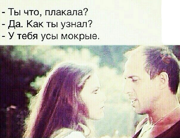 Ты что плакала Да Как ты узнал У тебя усы мокрые