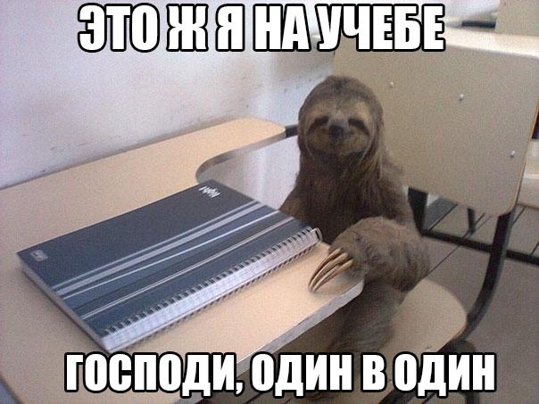г _ р Т г У попади один вЬдИн