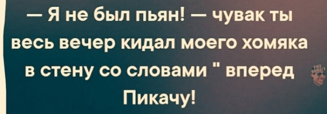 Я не был пьян чувак ты весь вечер кидал моего хомяка в стену со словами вперед Пикачу