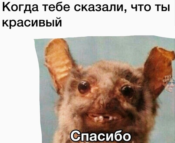 Когда тебе сказали что ты красивый