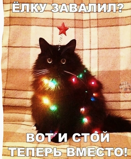 Ад ШЁШЁЬЮЬ ЁЁЦШЁСЕЁШГСФЩ