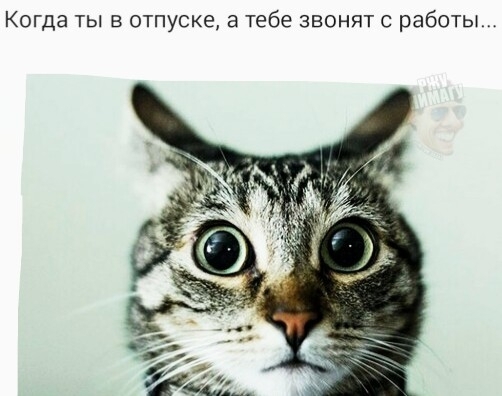 Когда ты в отпуске а тебе звонят с работы