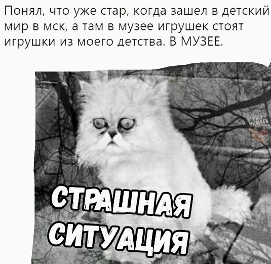 Понял что уже стар когда зашел в детский мир в мск а там в музее игрушек стоят игрушки из моего Детства В МУЗЕЕ