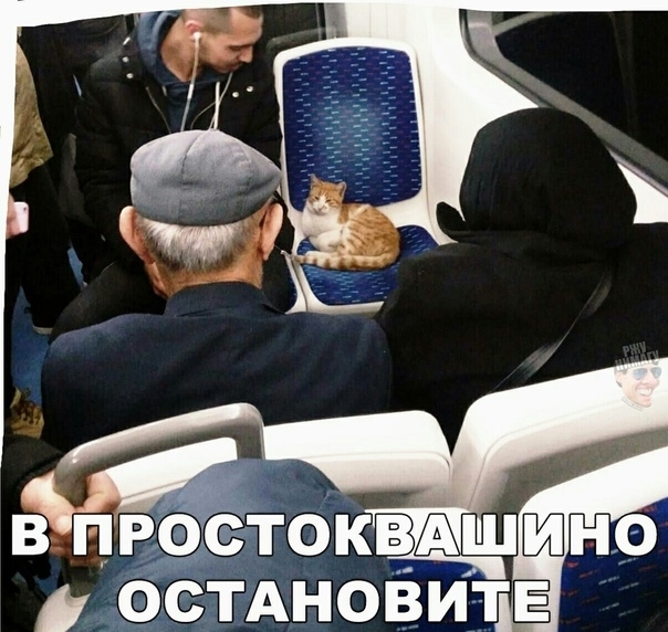 выпдвь ёётоквдш но ОСТАНОВИТЕ