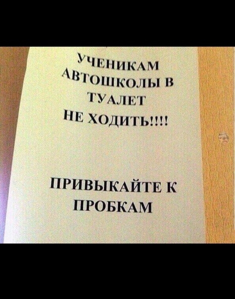нашним ішшколы гумпсг ходигып привыкйпс К ПРОБКАМ