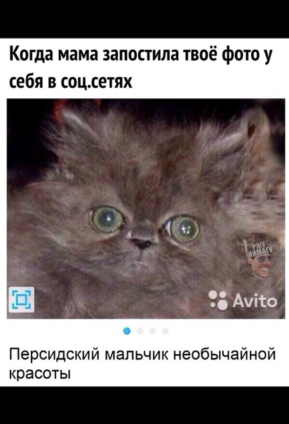 Когда мама запостипа твоё фото у себя в соцетях Персидский мальчик необычайной красоты