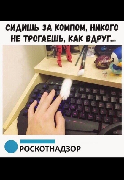 СИАИШЬ ЗА компом НИКОГО НЕ ТРОГАЕШЬ КАК ВАРУГ таг РОСКОТНАДЗОР