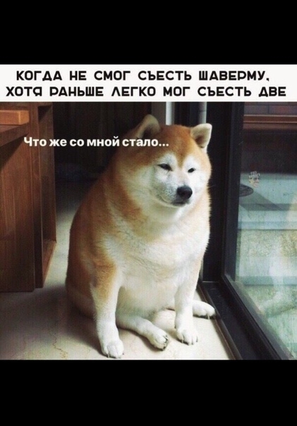 КОГДА НЕ СМОГ СЪЕСТЬ ШАБЕПМУ ХОТП РАНЬШЕ АЕГКО МОГ СЪЕСТЬ АВЕ Что же со мной ствие