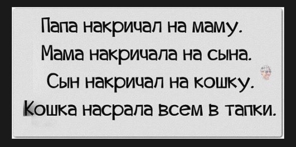 Папа накричап на маму Мама накрицапа на сына Сын накричап на кошку Кошка насрапа всем в тапки