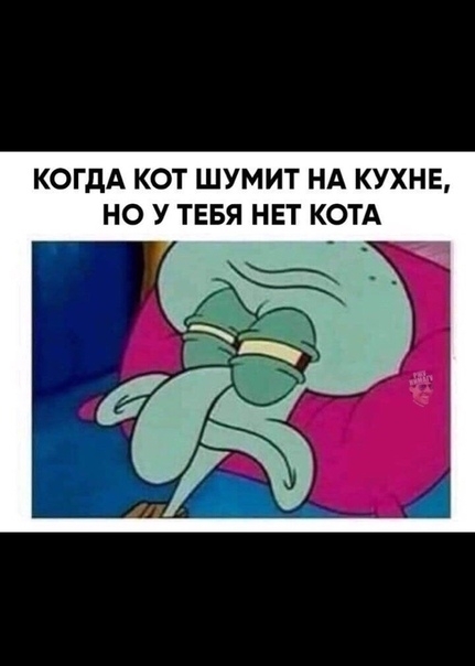 КОГДА КОТ ШУМИТ НА КУХНЕ НО У ТЕБЯ НЕТ КОТА