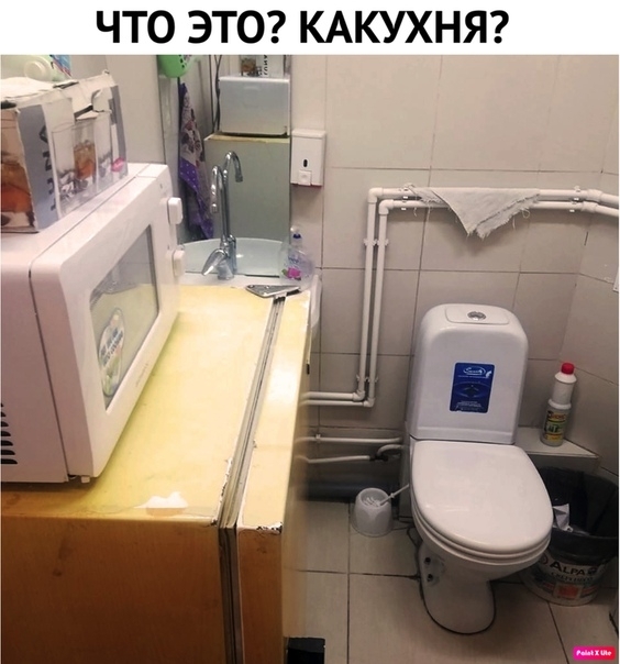 ЧТО ЭТО КАКУХНЯ щ и
