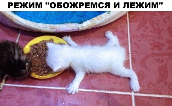 режим овожрвмся и лежим _