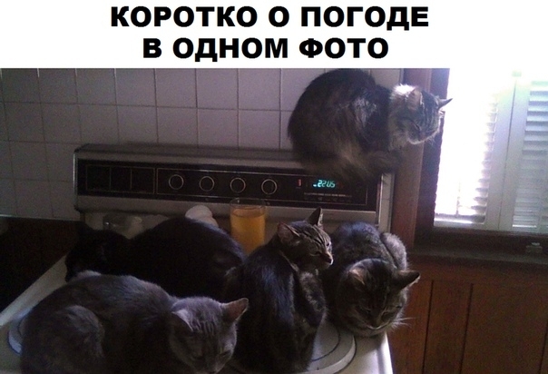КОРОТКО О ПОГОДЕ В ОДНОМ ФОТО