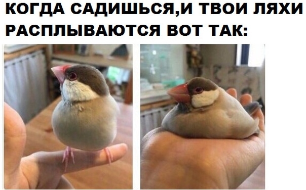 КОГДА САДИШЬСЯИ ТВОИ ПЯХИ РАОППЫВАЮТСЯ ВОТ ТАК Г