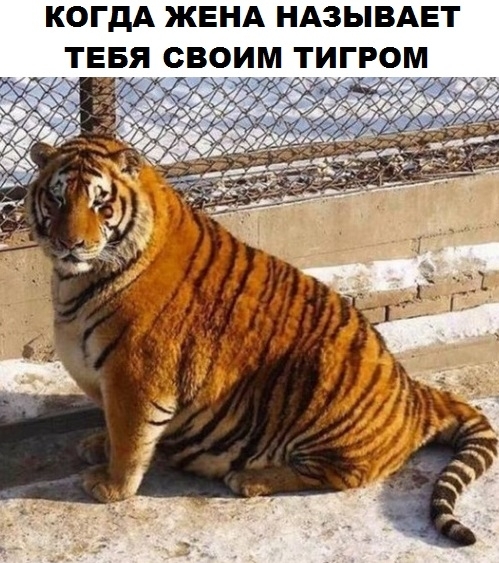 КОГДА ЖЕНА НАЗЫВАЕТ