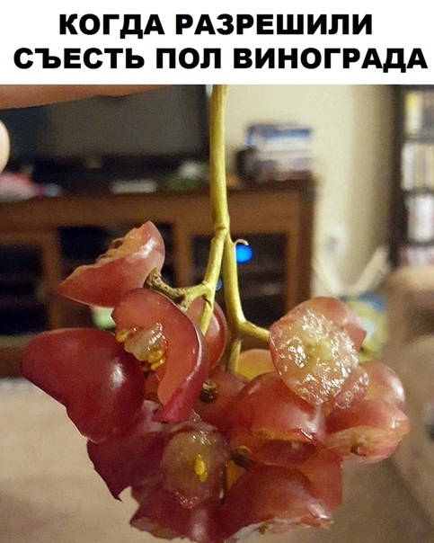 КОГДА РАЗРЕШИПИ СЪЕСТЬ ПОП ВИНОГРАДА