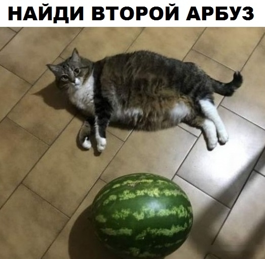 НАИДИ ВТОРОИ АРБУЗ г
