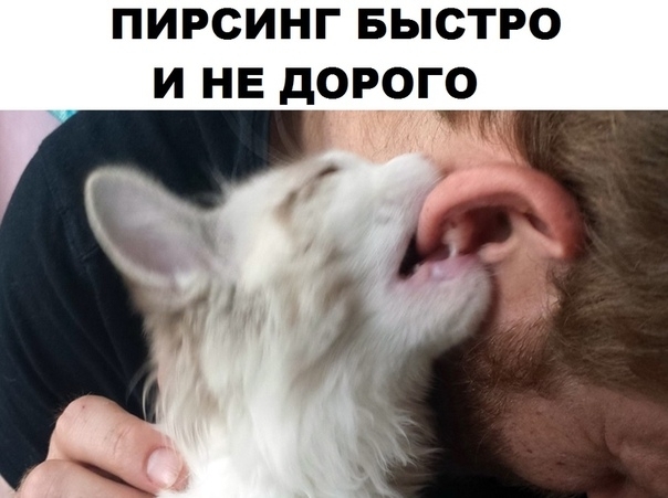 пирсинг БЫСТРО и не дорого