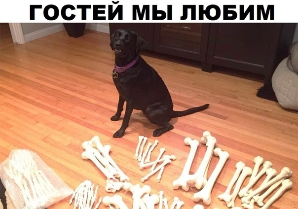 гостей мы пювим